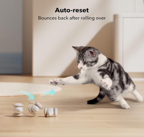Petlibro interactive cat - cat, toy